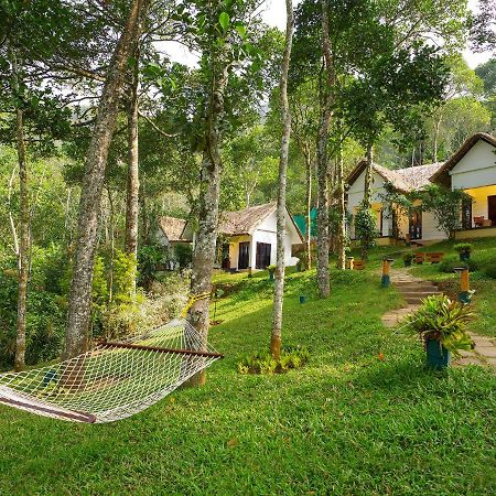 Niraamaya Retreats Cardamom Club Thekkady Esterno foto